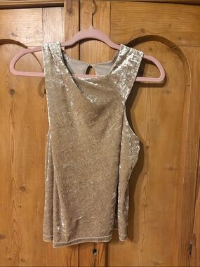Sleeveless Velvet Tank Top in Champagne - Women's Top